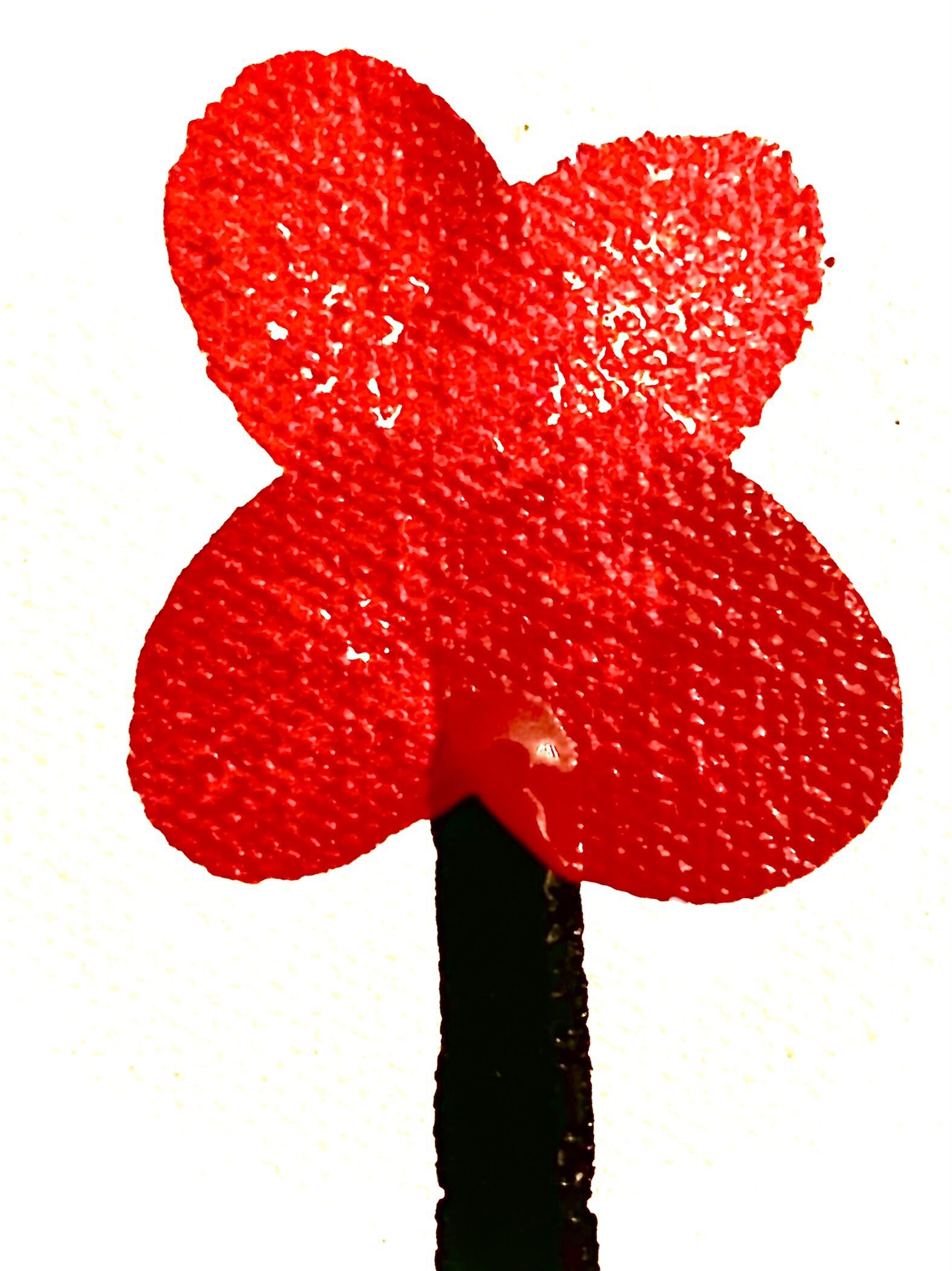 Single Tall Poppy